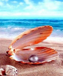 Pearls on the Beach Seascape Paint By Number