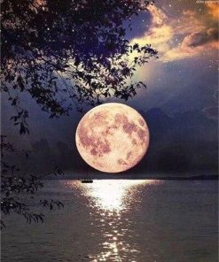 Beautiful Full Moon on Lake Landscape Paint By Number