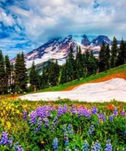 Ice In The Spring Landscape Paint By Number