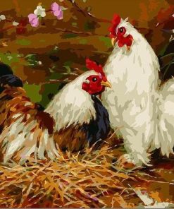 Two Chickens Birds Paint By Number