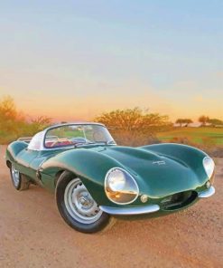 Jaguar Xkss Car paint by numbers