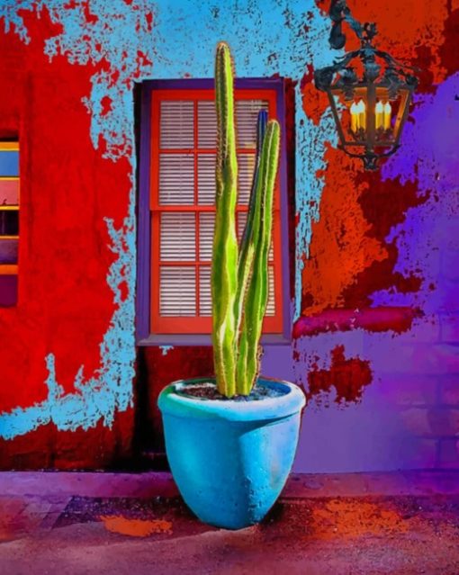 Colorful Barrio Tucson Paint by numbers