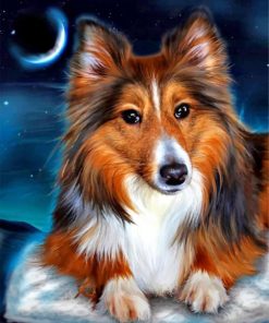 Sheltie Dog ppaint by numbers