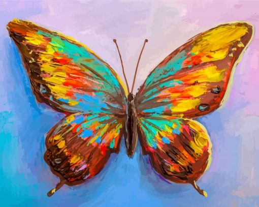 Colorful Butterfly paint by number