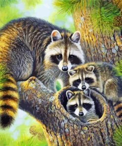 Raccoon Family Paint by numbers