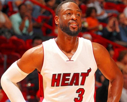 dwyane wade basketball