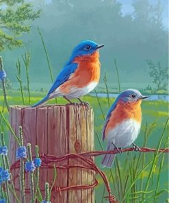 Bluebirds On Wire Paint by numbers