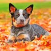 Blue-heeler-paint-by-numbers