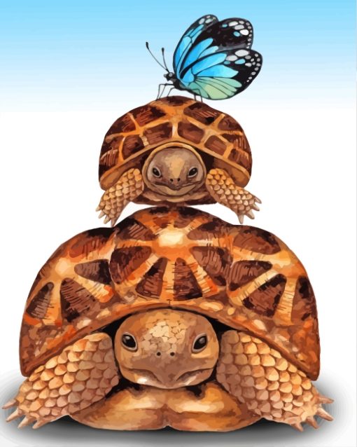 Tortoises-and-butterfly-paint-by-numbers