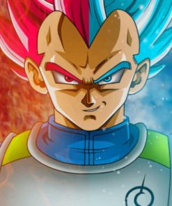 Vegeta Dragon Ball Paint by numbers