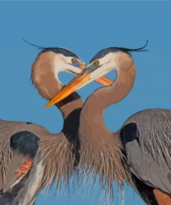 great-blue-heron-couple-paint-by-number