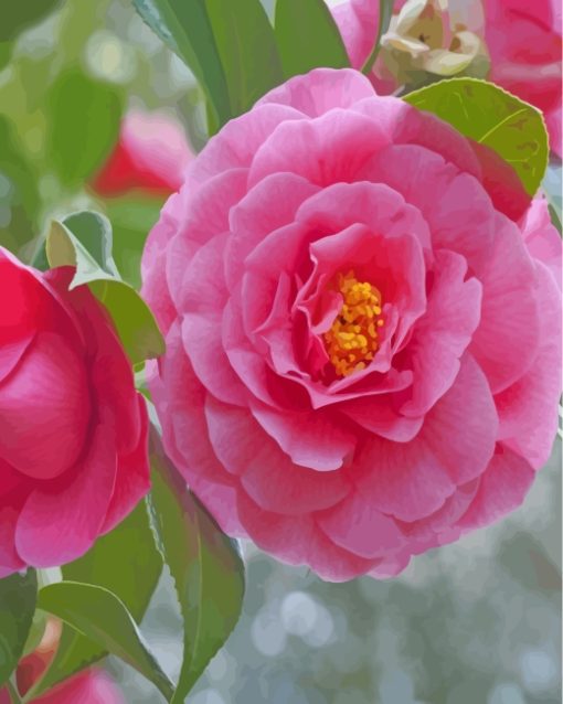 pink-camellia-flower-paint-by-numbers