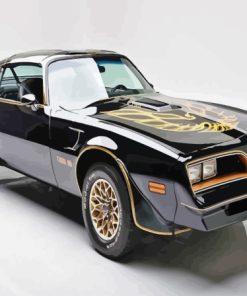 1977 Firebird Paint By Numbers