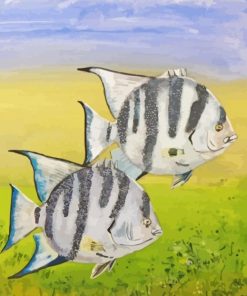 Atlantic Spadefish Paint By Numbers