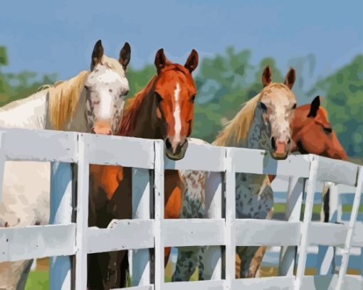 Beautiful Horses By Fence Paint By Numbers