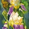 Irises With Butterflies Art Paint By Numbers