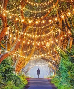 The Dark Hedges Paint By Numbers