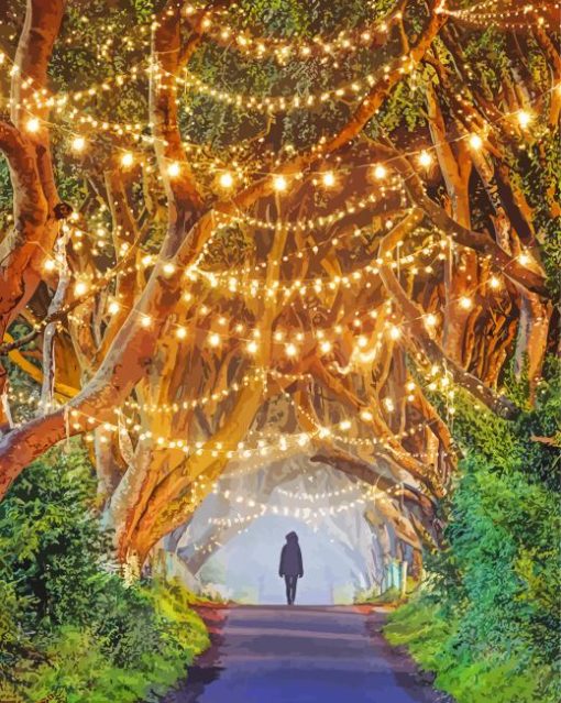 The Dark Hedges Paint By Numbers