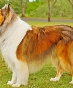 Aesthetic Sable Rough Collie Paint By Numbers