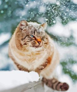 Cute Winter Cat Paint By Numbers