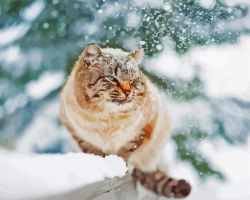 Cute Winter Cat Paint By Numbers