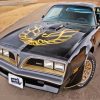 78 Firebird Trans Am Paint By Numbers