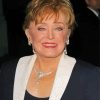 American Rue Mcclanahan Paint By Numbers