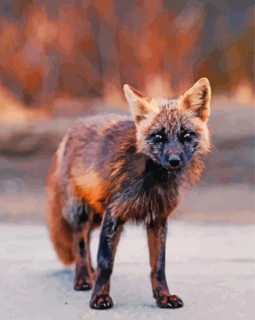 Black And Orange Melanistic Fox Paint By Numbers