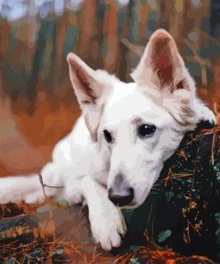 White Swiss Shepherd Paint By Numbers