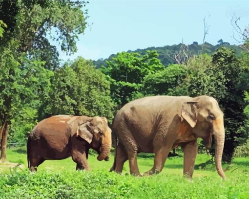 Elephants In Thailand Paint By Numbers