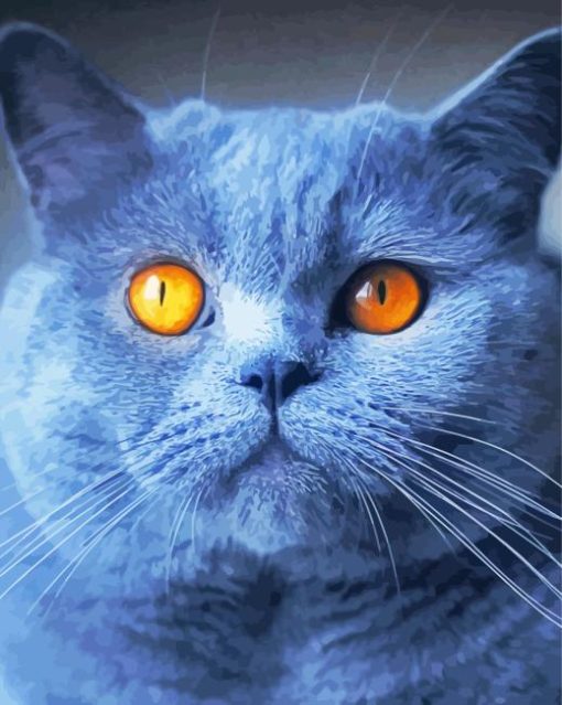 Gray Cat Orange Eyes Paint By Numbers