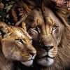 Lion And Lioness Paint By Numbers