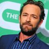 Luke Perry Actor Paint By Numbers