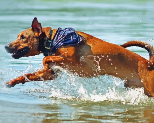 Mountain Cur Running In Water Paint By Numbers