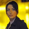 Person Of Interest Sameen Character Paint By Numbers