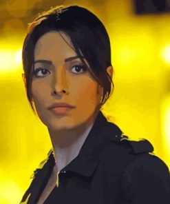 Person Of Interest Sameen Character Paint By Numbers