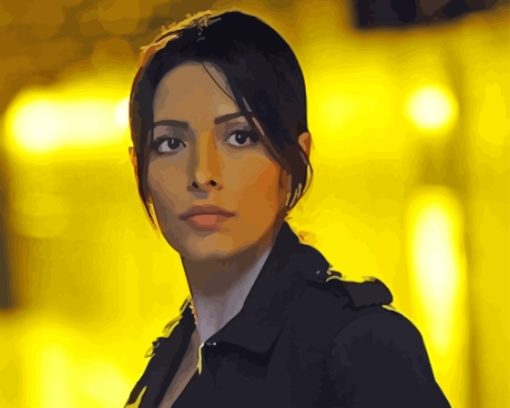 Person Of Interest Sameen Character Paint By Numbers