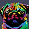 Rainbow Pug Head Paint By Numbers