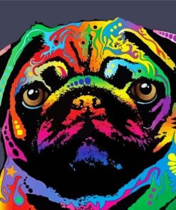 Rainbow Pug Head Paint By Numbers