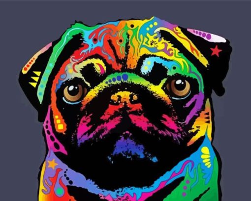 Rainbow Pug Head Paint By Numbers