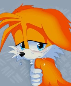 Sad Tails The Hedgehog Paint By Numbers