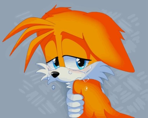 Sad Tails The Hedgehog Paint By Numbers