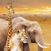 Safari Animals Paint By Numbers