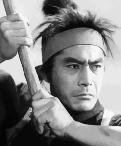 Toshiro Mifune Samurai Paint By Numbers