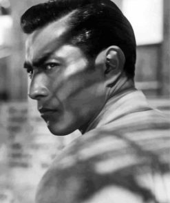 Toshiro Mifune Paint By Numbers