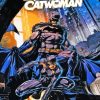 Batman With Catwoman Poster Paint By Numbers