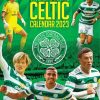 Celtic Team Poster Paint By Numbers