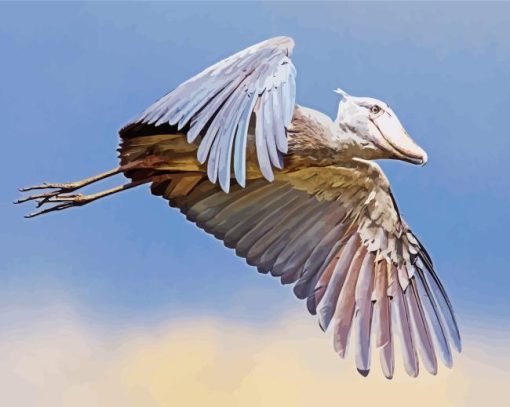 Flying Shoebill Stork Bird Paint By Numbers