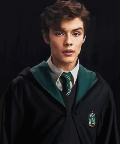 Harry Potter Mattheo Riddle Paint By Numbers