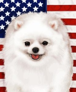 Patriotic Pomeranian Paint By Numbers